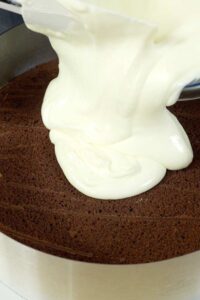 Schoko-Vanille-Kuchen